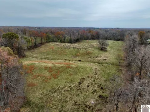 000 Beech Grove Rd, Hickman, KY 42050 photo 17