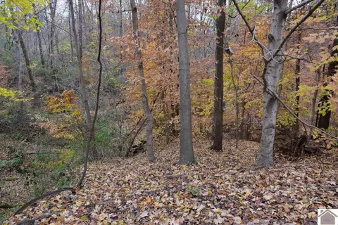 000 Beech Grove Rd, Hickman, KY 42050 photo 8