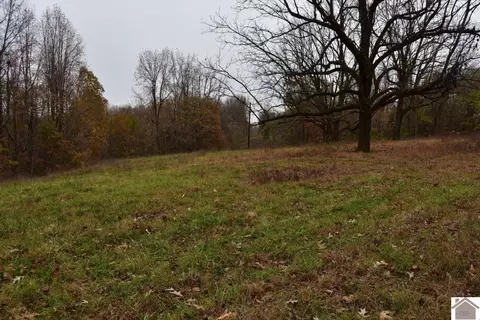 000 Beech Grove Rd, Hickman, KY 42050 photo 32