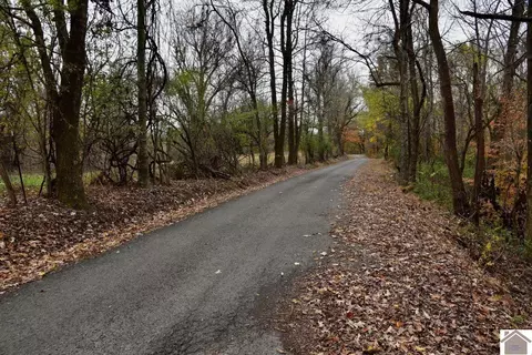 000 Beech Grove Rd, Hickman, KY 42050 photo 34