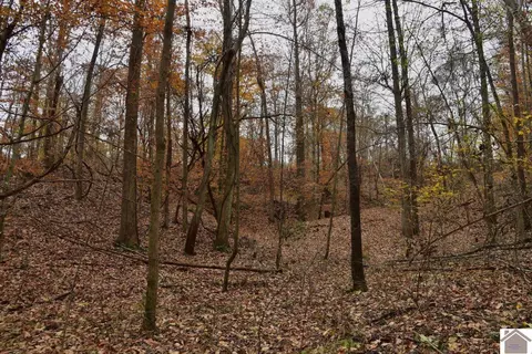 000 Beech Grove Rd, Hickman, KY 42050 photo 10