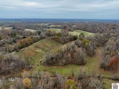 000 Beech Grove Rd, Hickman, KY 42050 photo 21