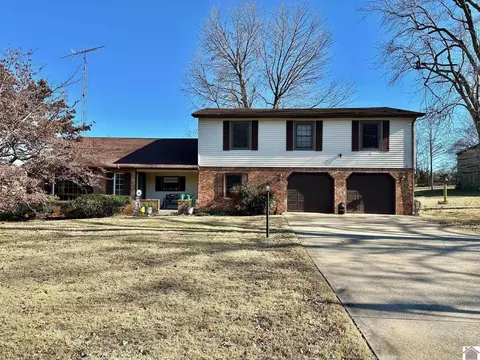2004 Wingo Rd, Wingo, KY 42088