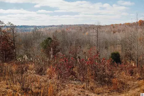 1710 Billie Branch Rd, New Concord, KY 42076