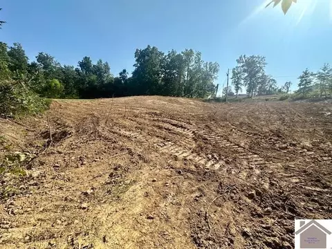lot F On Vista Dr, Gilbertsville, KY 42044