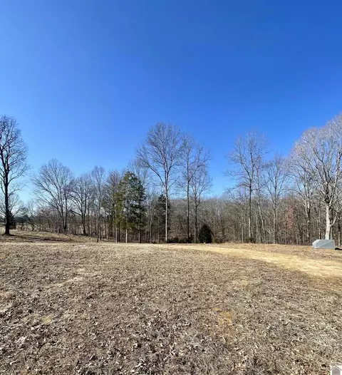 4339 Almo Shiloh Rd, Dexter, KY 42036