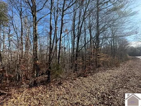 00 Fred Jones Rd, Hardin, KY 42048
