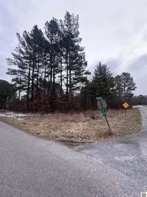 lot3 Tom Taylor Trl, Murray, KY 42071
