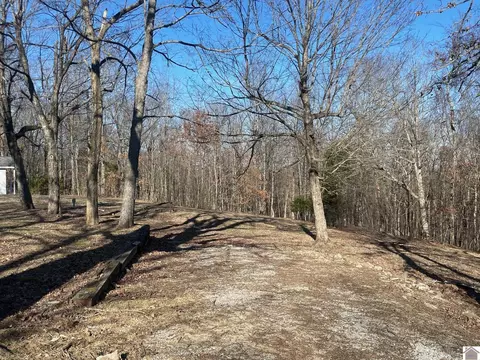 821 Vicksburg Rd, Tiline, KY 42083