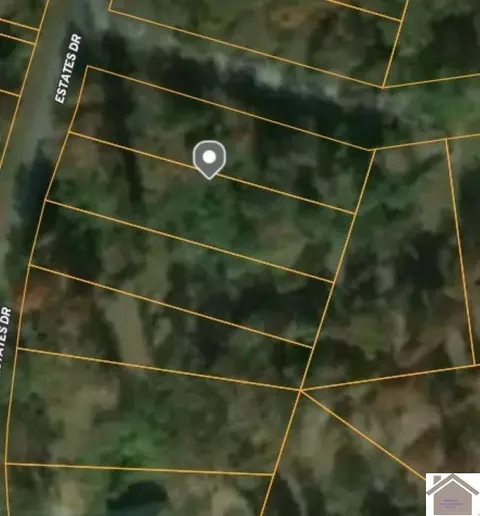 lot217 222 Buena, Gilbertsville, KY 42044