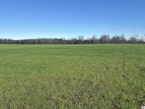 6 Mayfield Ln, Almo, KY 42020