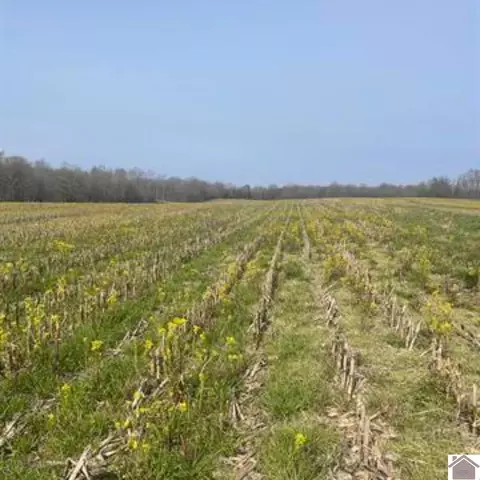 00 Valentine Rd, New Concord, KY 42076