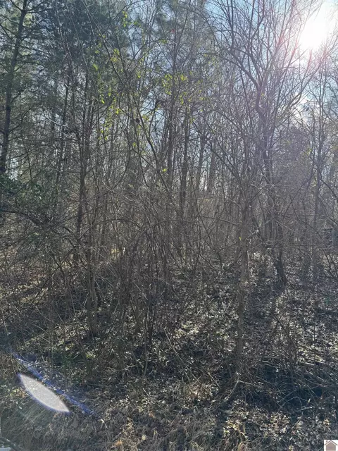 00 Mazurek Cir, Murray, KY 42071
