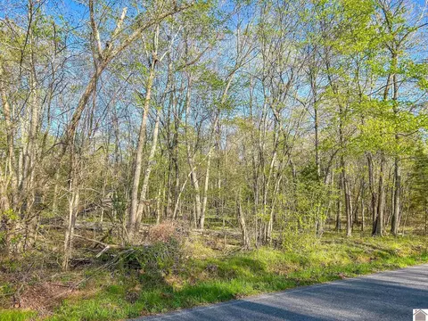 00 Ft Leisure Trl, Gilbertsville, KY 42044