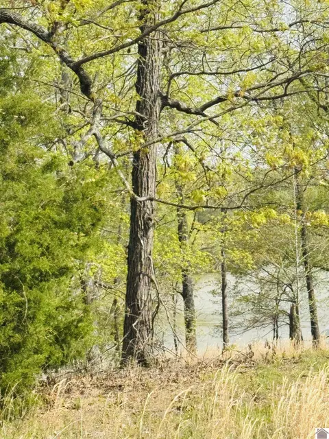 lot Apt 8 Tradition Dr, Benton, KY 42025