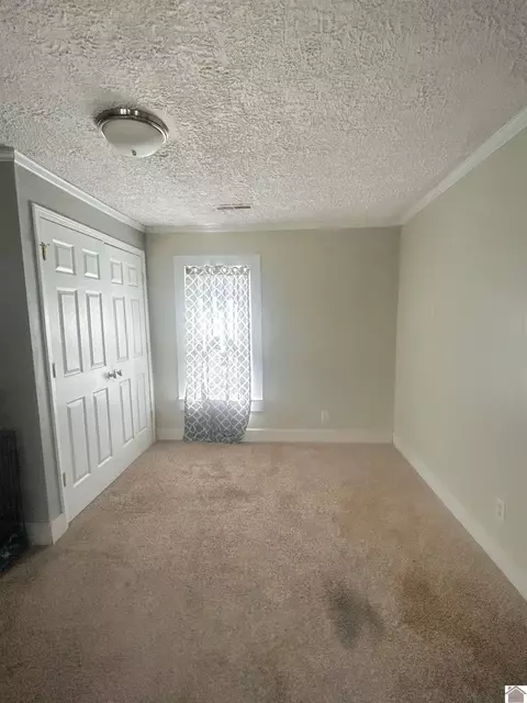 1311 Old Dukedom Rd, Mayfield, KY 42066 photo 12