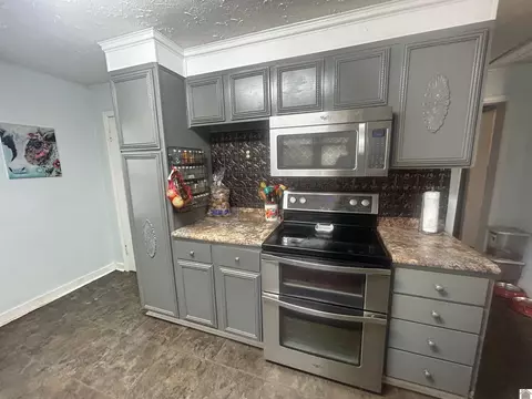 1311 Old Dukedom Rd, Mayfield, KY 42066 photo 8