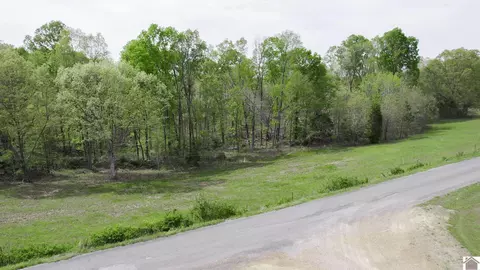 665 Goodwin, Dexter, KY 42036 photo 7