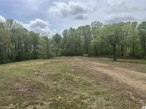 665 Goodwin, Dexter, KY 42036