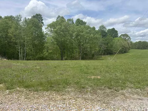 665 Goodwin, Dexter, KY 42036 photo 2