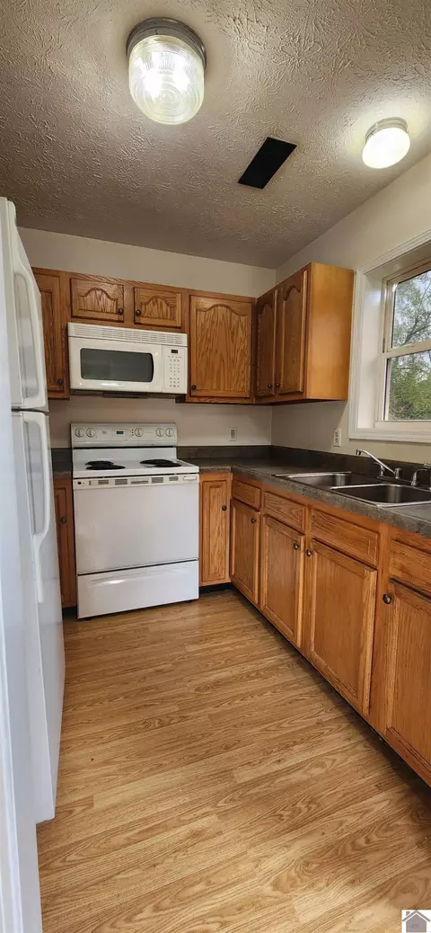 178 Tice, Mayfield, KY 42066 photo 8