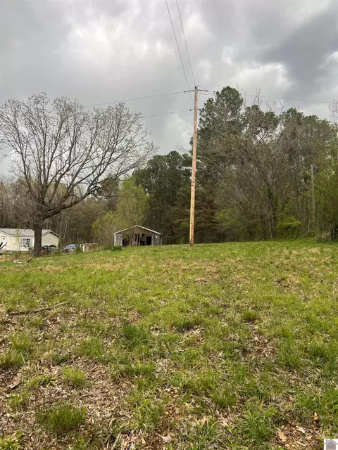 950 Dooms Chapel Rd, Symsonia, KY 42082