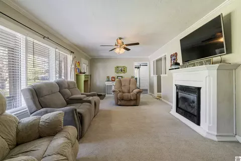 183 Fork Rd, Almo, KY 42020 photo 6