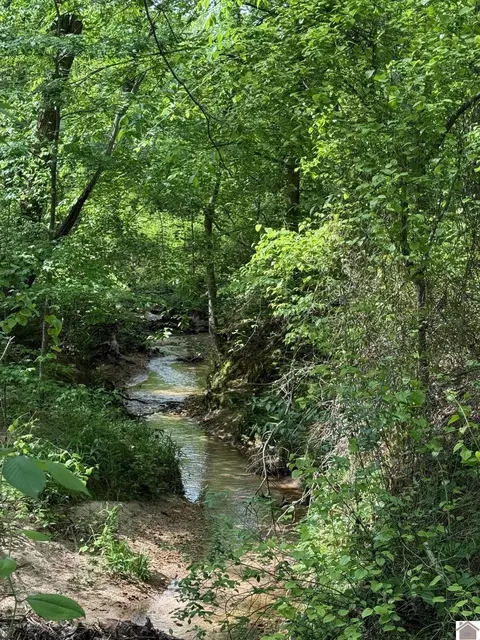 170 Lynx Ln, Murray, KY 42071 photo 30