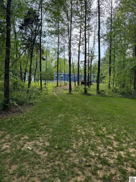 170 Lynx Ln, Murray, KY 42071 photo 28