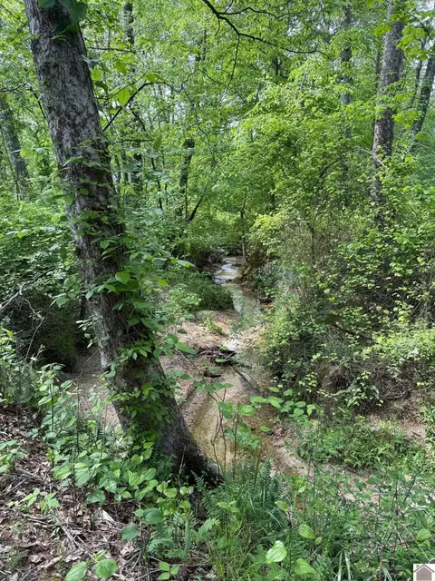 170 Lynx Ln, Murray, KY 42071 photo 29