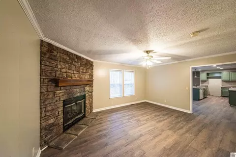696 Ridge Loop, Benton, KY 42025 photo 10