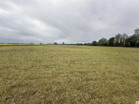 1306 County Road 1305, Bardwell, KY 42023