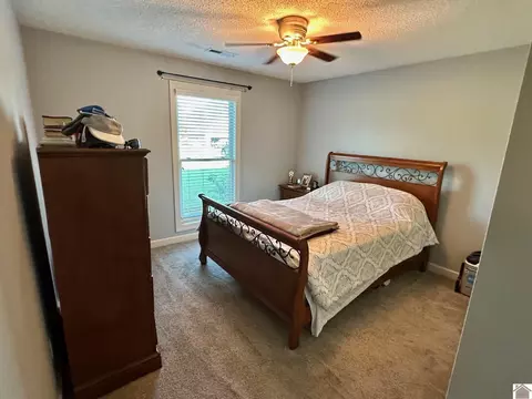 159 Caleb Dr, Mayfield, KY 42066 photo 19