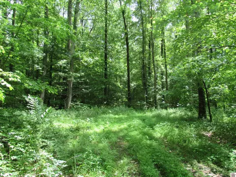 Dooms Chapel Road, Symsonia, KY 42082