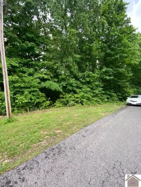 0000 Driftwood, Eddyville, KY 42038