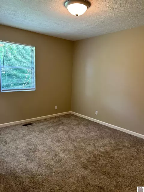 1602 Doran, Murray, KY 42071 photo 10