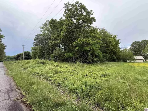 694 Green Plain Rd, Hazel, KY 42049 photo 3