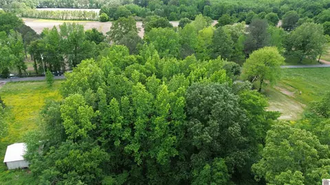 694 Green Plain Rd, Hazel, KY 42049 photo 2