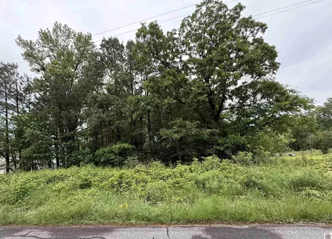 694 Green Plain Rd, Hazel, KY 42049