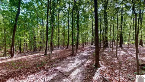 3210 Douglas Rd, Murray, KY 42071 photo 42