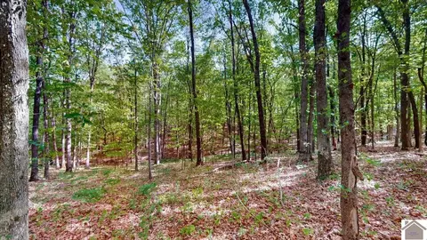 3210 Douglas Rd, Murray, KY 42071 photo 43