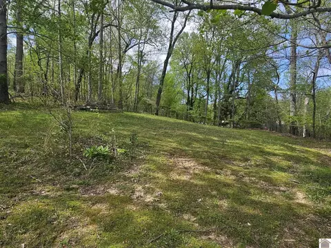 6694 State Line Rd, Hazel, KY 42049 photo 17
