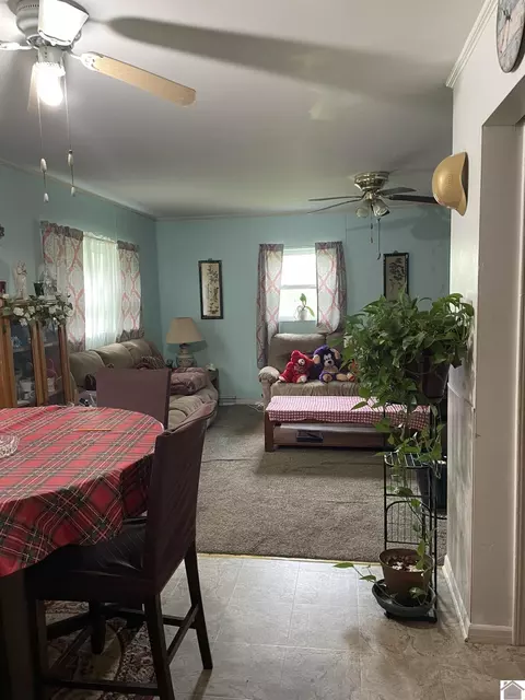 4924 State Route 121, Mayfield, KY 42066 photo 10