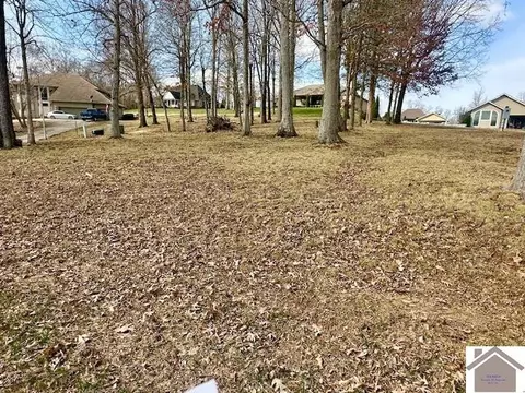 78 Eagle Dr, Benton, KY 42025 photo 4