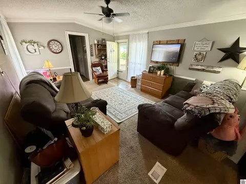 109 Obryan Cir, Almo, KY 42020 photo 4