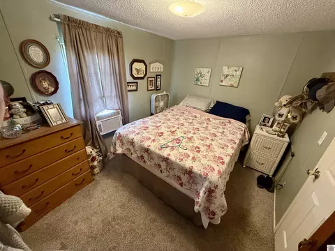 109 Obryan Cir, Almo, KY 42020 photo 11