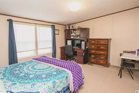 201 Ball Park Loop, Ledbetter, KY 42058 photo 9