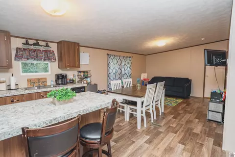 201 Ball Park Loop, Ledbetter, KY 42058 photo 7