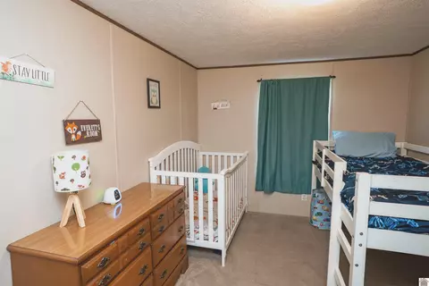 201 Ball Park Loop, Ledbetter, KY 42058 photo 12