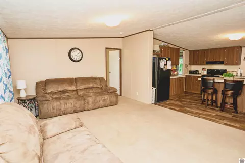 201 Ball Park Loop, Ledbetter, KY 42058 photo 3